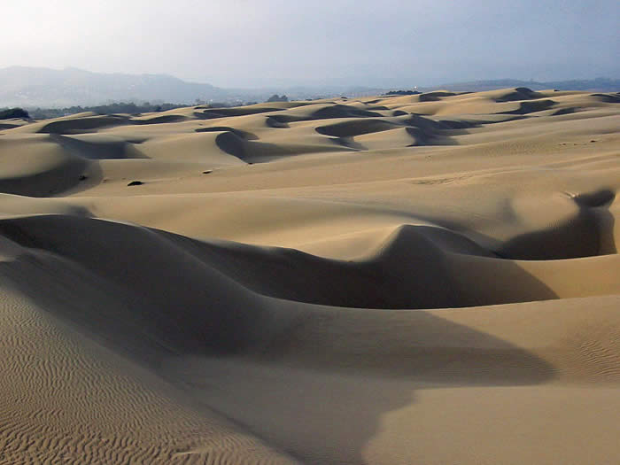 File:Sand dunes - Oceano CA.jpg